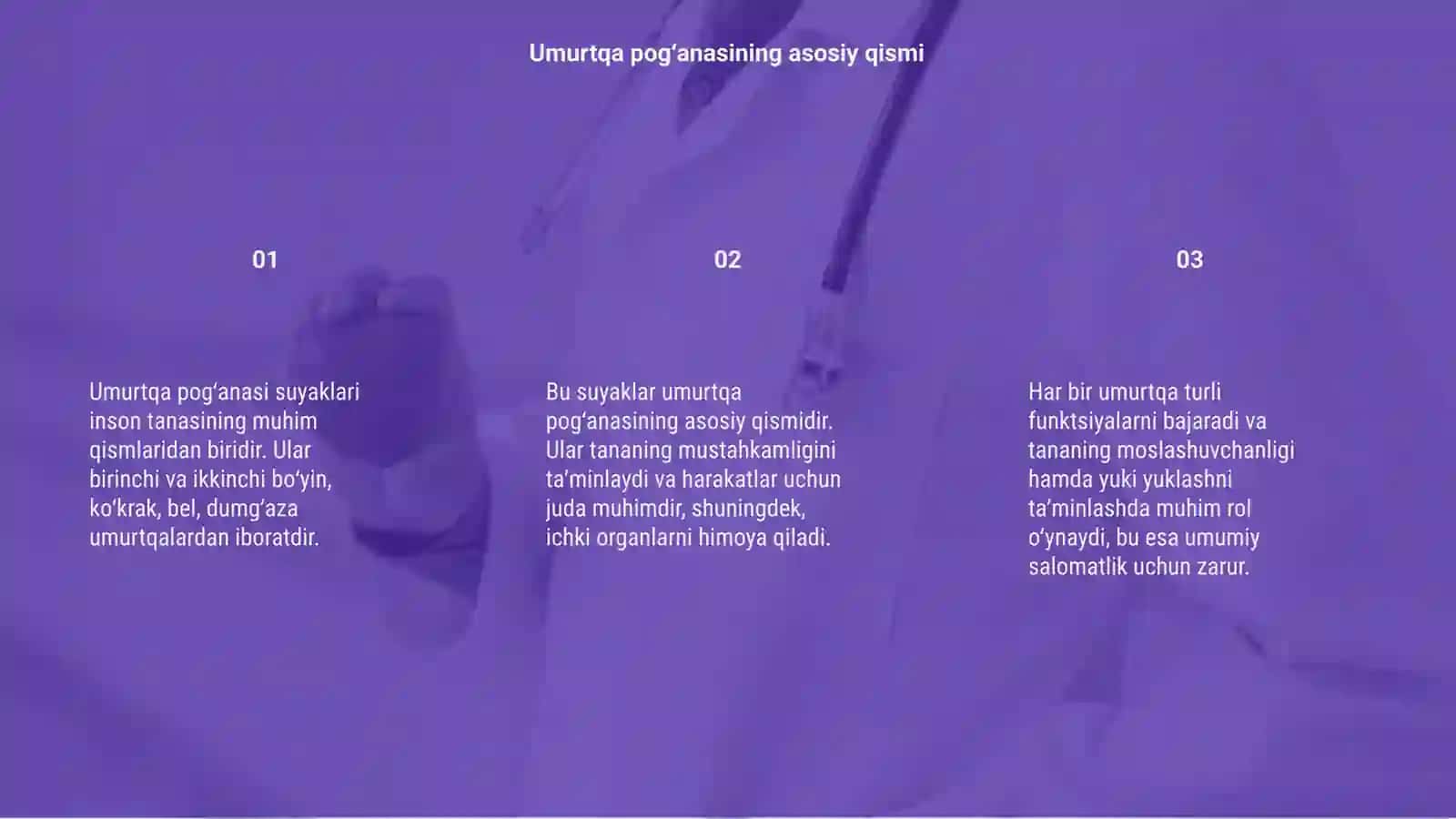 Umurtqa pogʻanasi suyaklari 3