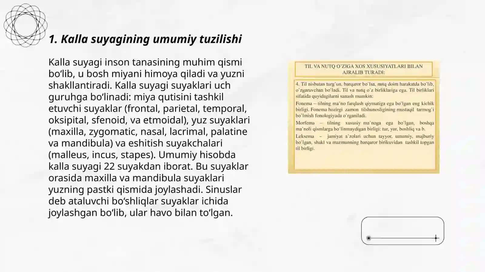 Kalla suyagining miya qismi suyaklari: ensa, tepa, peshona, gʻalvir suyaklari, ularning yoshga doir xususiyatlari 3