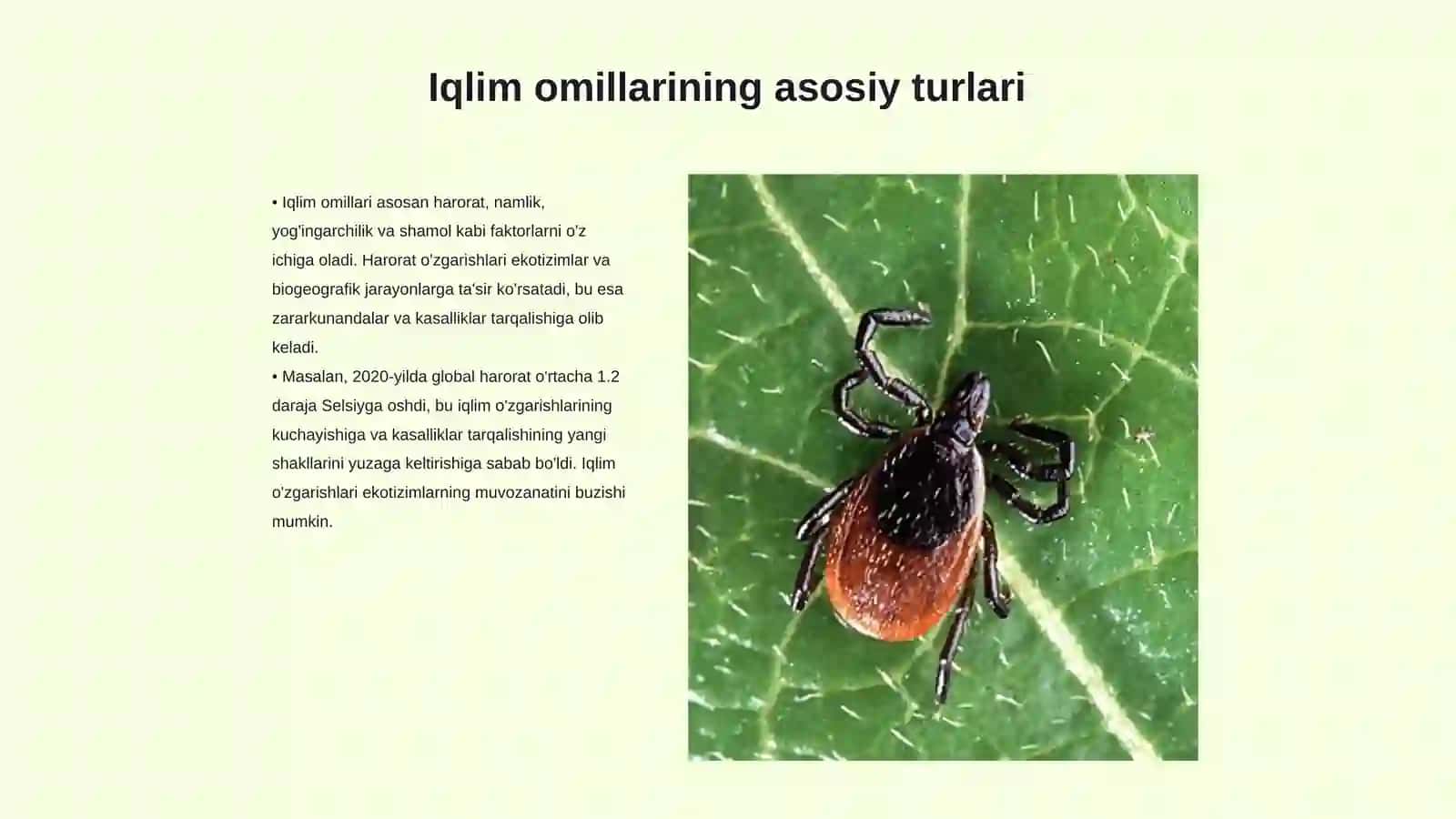 Iqlim Omillarining Tarqalishida Iqlim Omillarining Roʻli 3