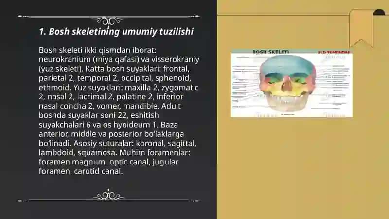 Bosh skeleti 3