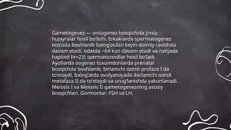 Ontogenez 3