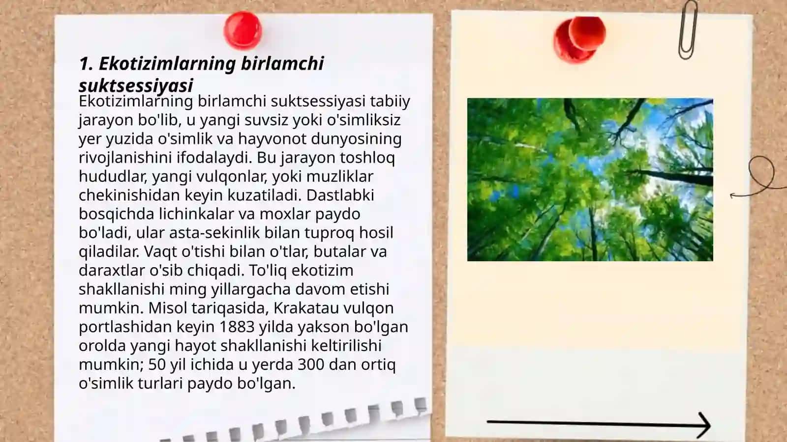 Ekotizimlarning birlamchi suktsessiyasi 3