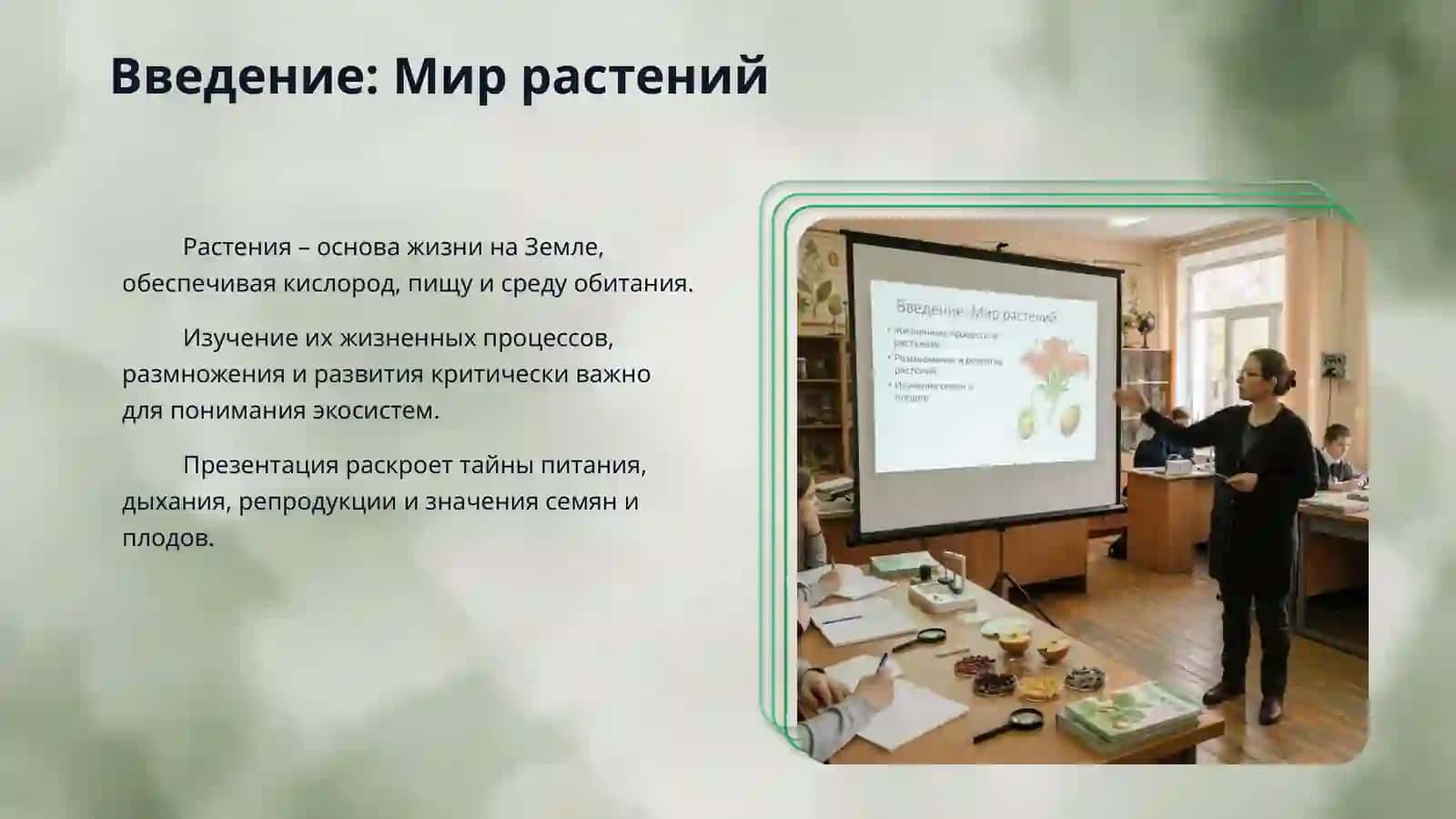 Жизненные процессы в растениях. Размножение и развитие растений. Изучение семян и плодов 3