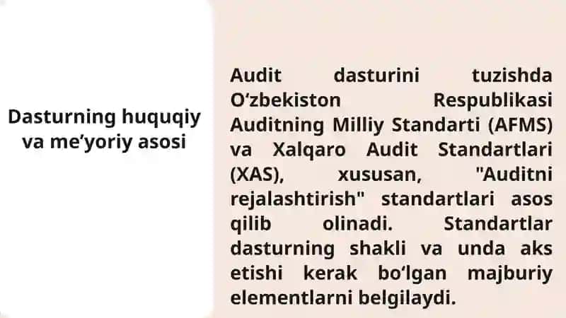 Auditorlik tekshiruvi ishchi dasturi 3