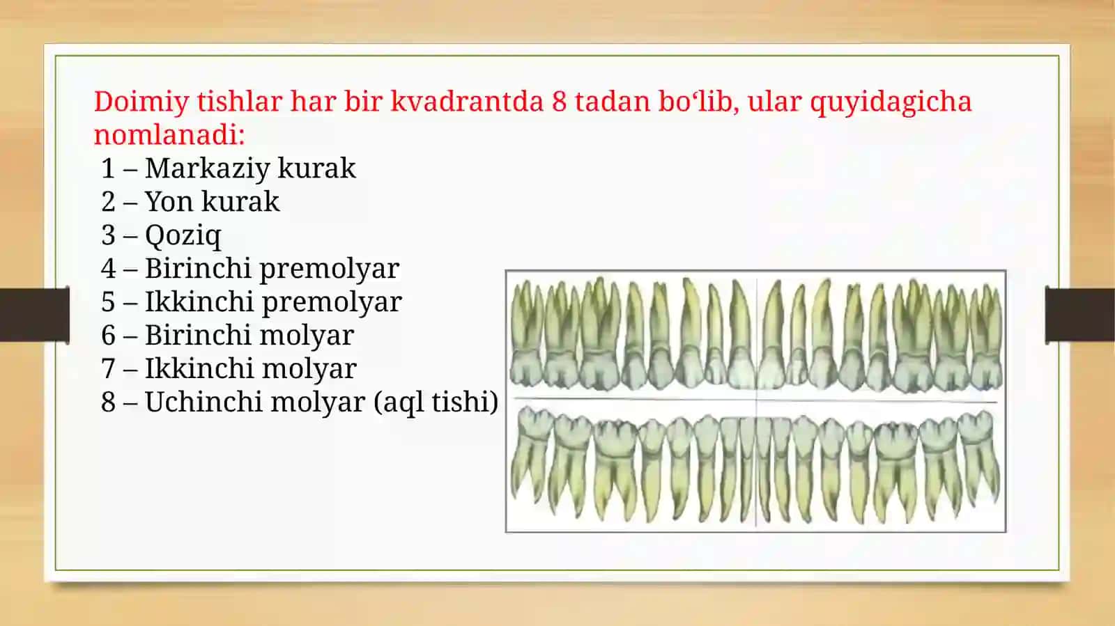 Tishlarning anatomik tuzilishi 3