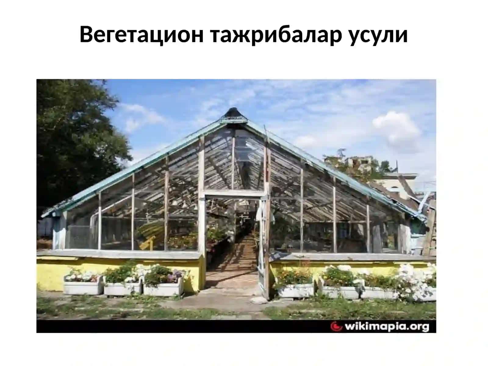 Вегетация тажрибалари усули 3