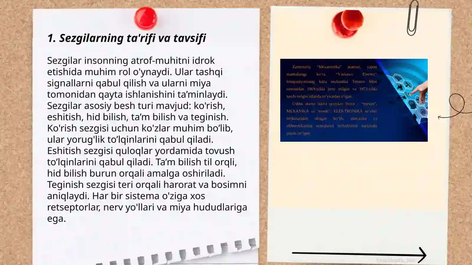 Sezgilar haqida umumiy tushuncha va uning nerv fiziologik asoslari 3