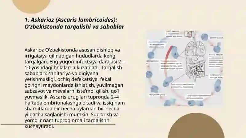 Oʻzbekistonda sodda hayvonlar tomonidan kelib chiquvchi kasalliklar, tarqalishi va sabablari 3