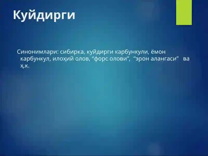 Kuydirgi 3