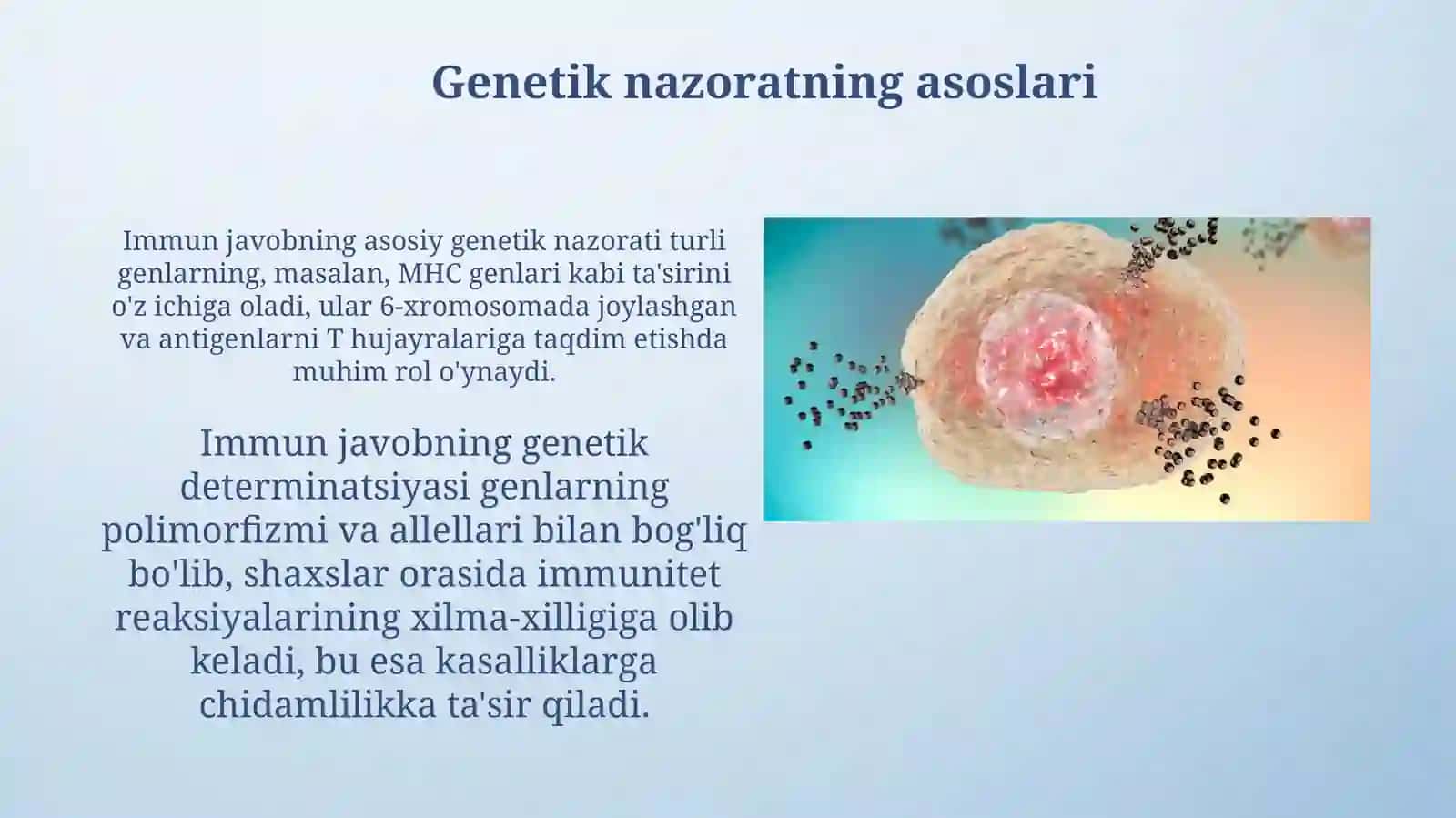 Immunologik reaksiyalarning genetik nazorati Imunologik tolerantlik 3