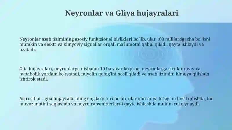 Markaziy nerf sistemasining umumiy fiziologiyasi 3