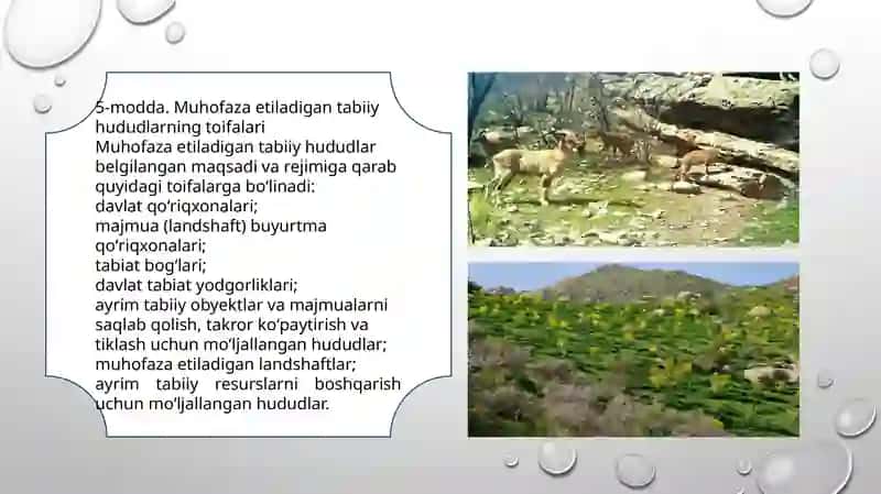 Muhofaza etiladigan tabiiy hududlar to'g'risida qonun 3