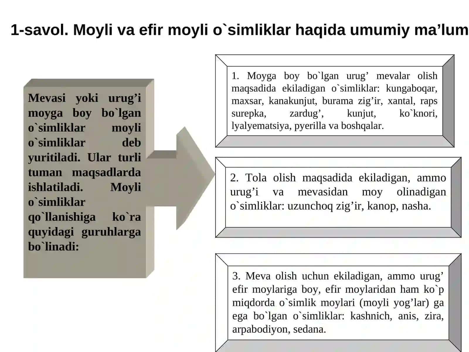 Botanika fanidan tayyorlagan TAQDIMOT ISHI 3