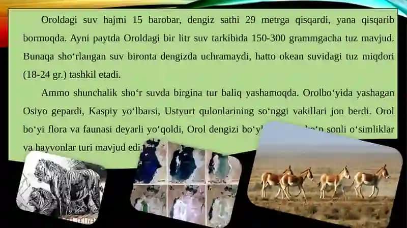 O‘zbekiston respublikasi tabiatni muhofaza qilish davlat qo'mitasi va uning faoliyati 3