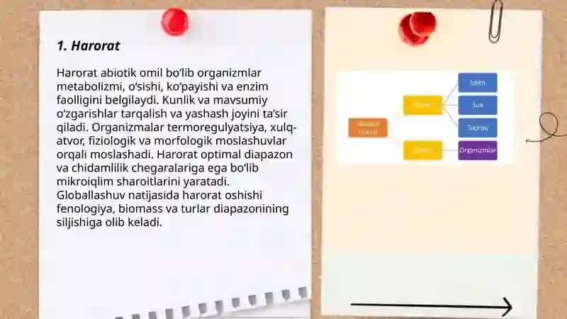 Abiotik omillar 3