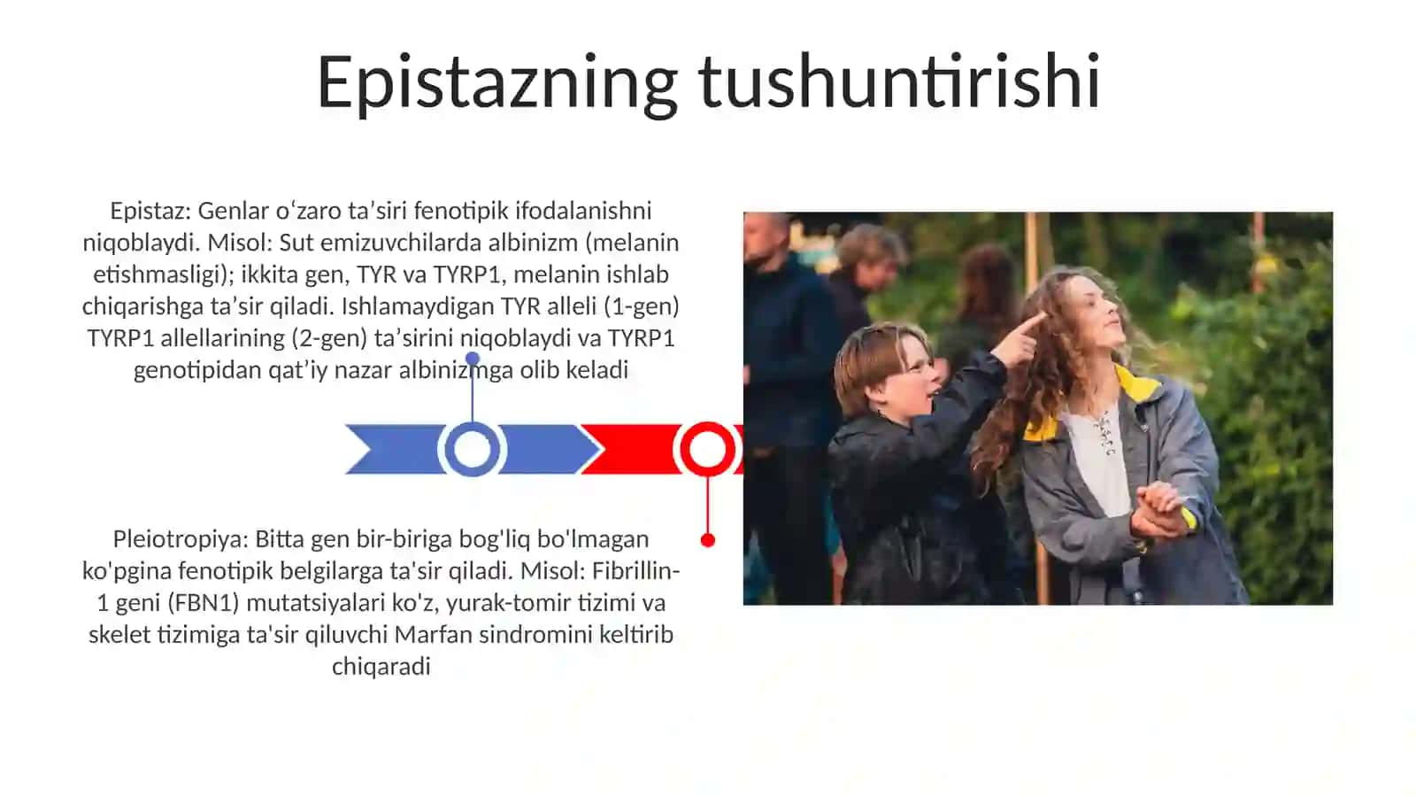 Epistaz: Genlar oʻzaro taʼsiri fenotipik ifodalanishni niqoblaydi 3