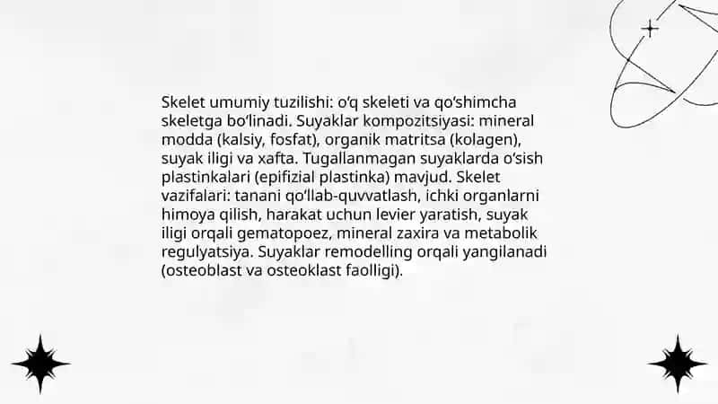 Skalet va muskullar 3