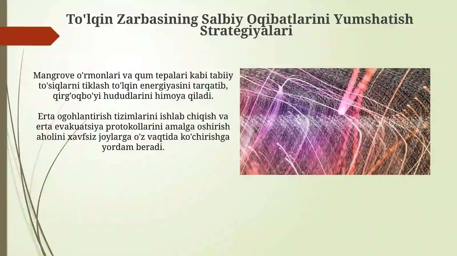 To‘lqin zarbi. Jabrlanish zonalari tavsifi. Yorug‘lik ajralishi. O’tuvchi nurlar 3
