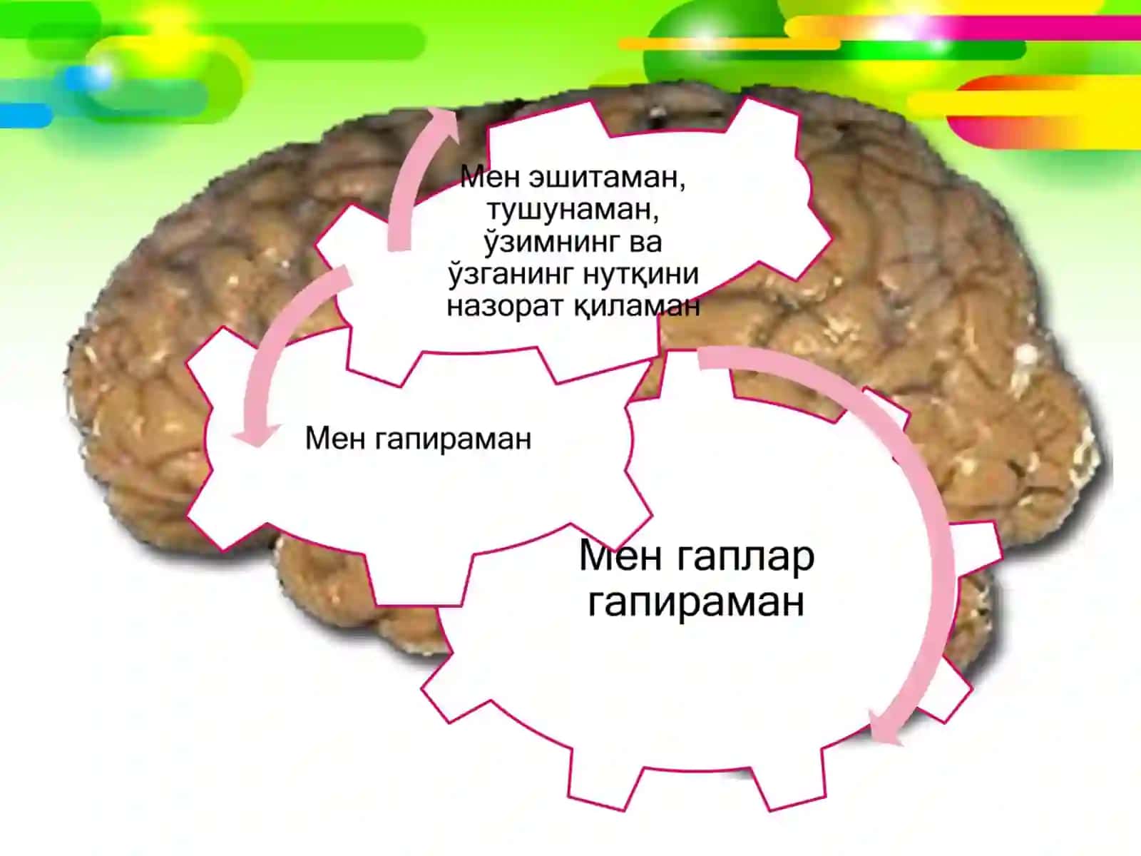 Афазияшакллари 3