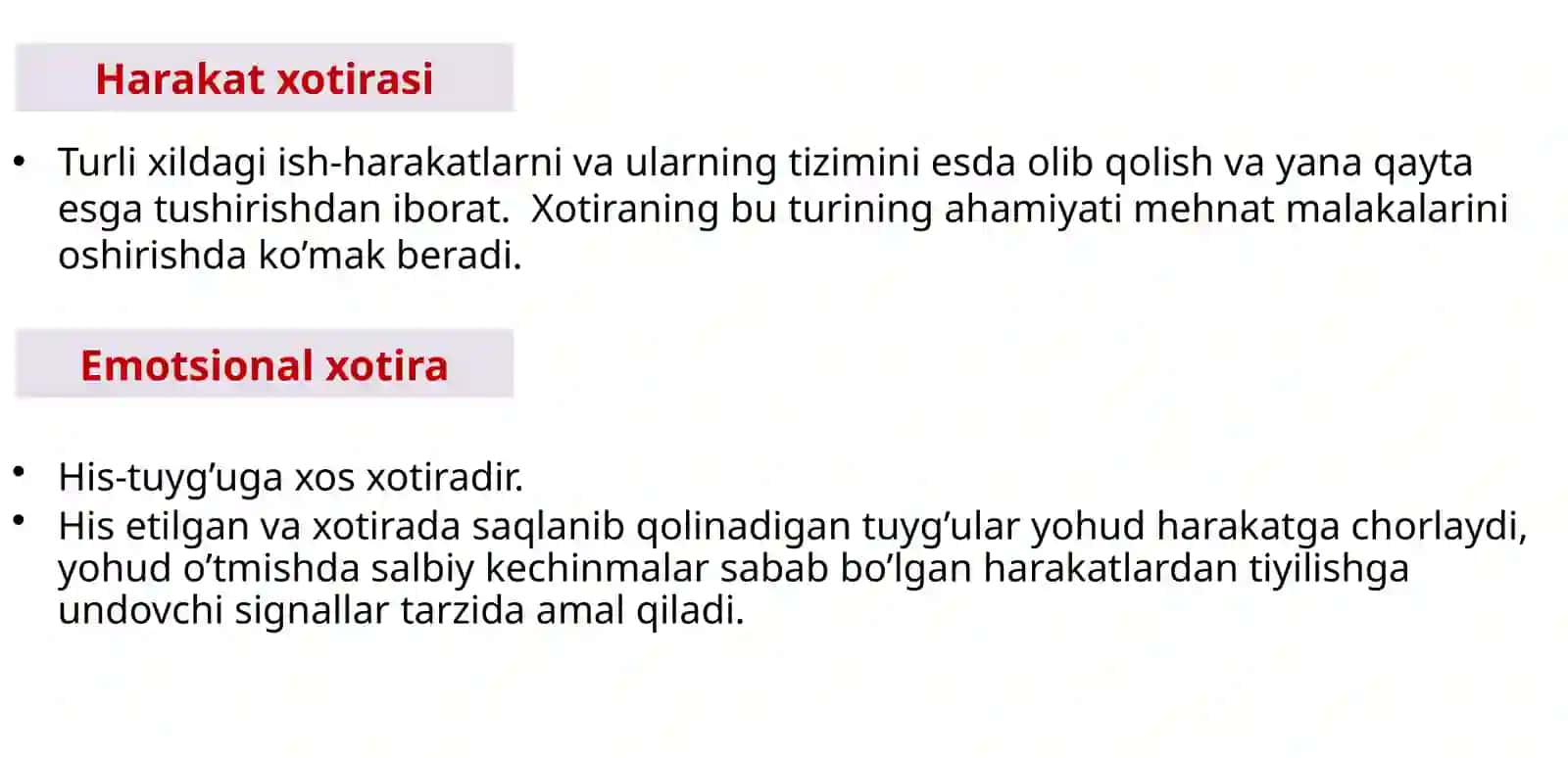 XOTIRA 3