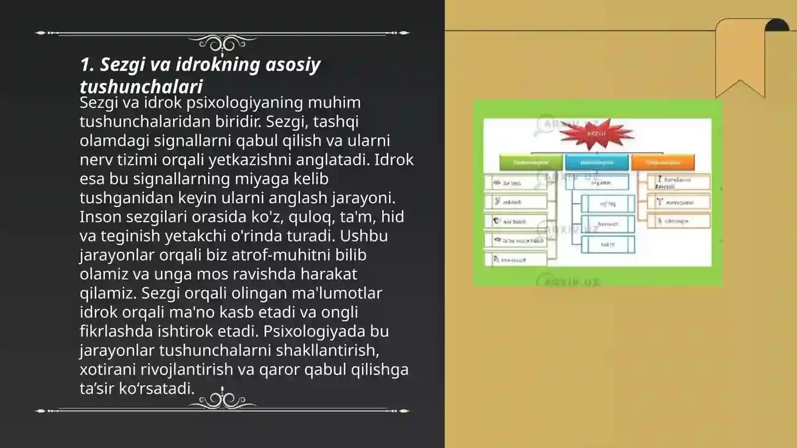Sezgi va idrokning psixologik mohiyati, fiziologiyasi 3
