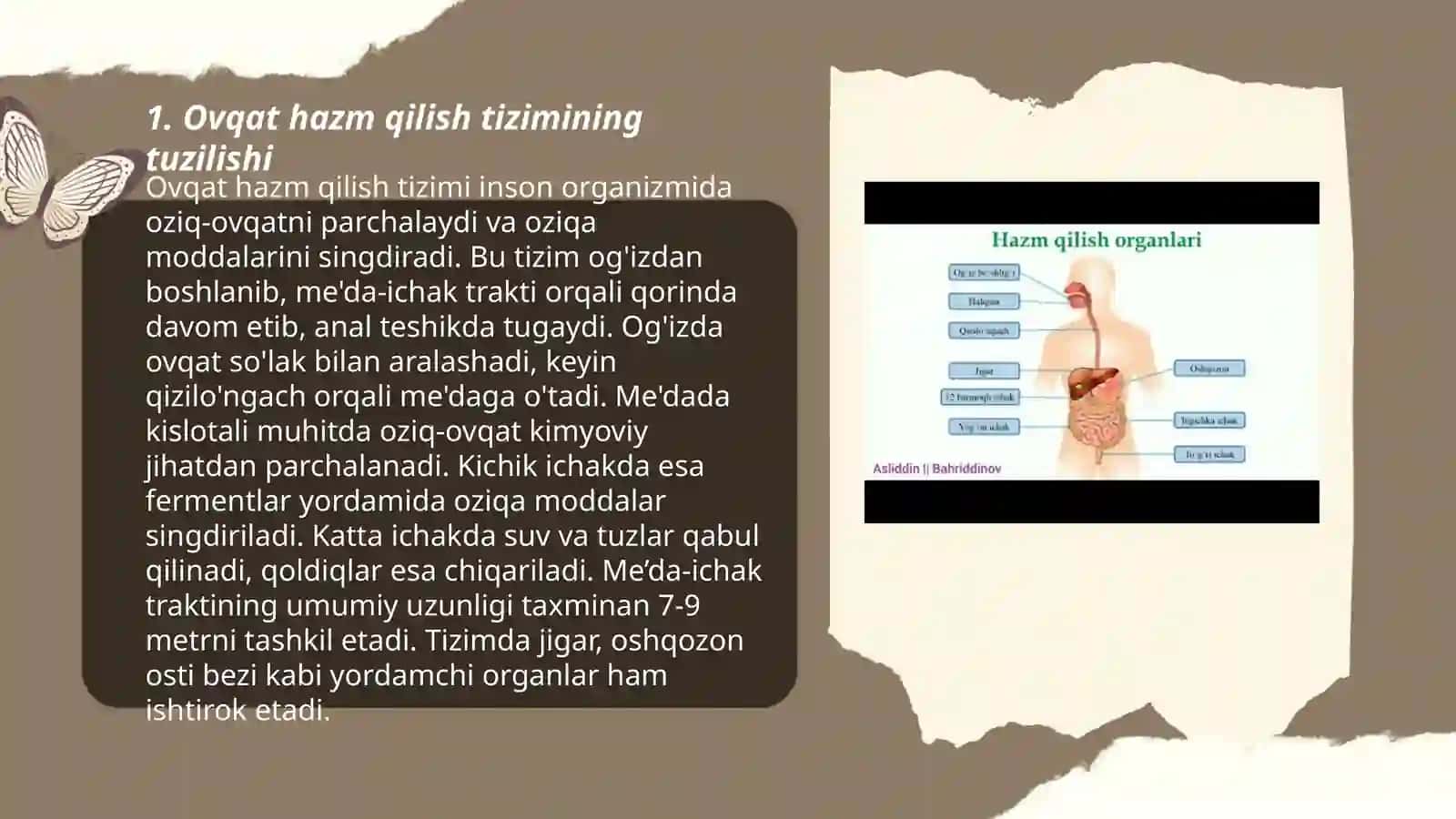 Ovqat hazm qilish tizimi 3