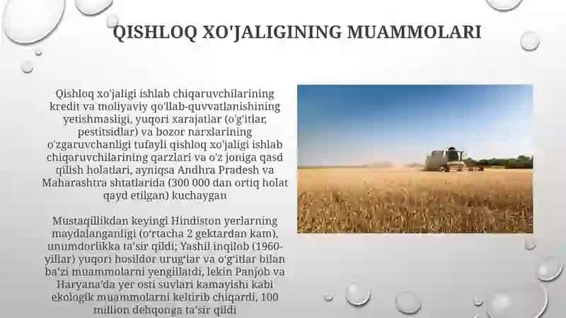 Mustaqillikdan soʻng qishloq xoʻjaligi va sanoati 3