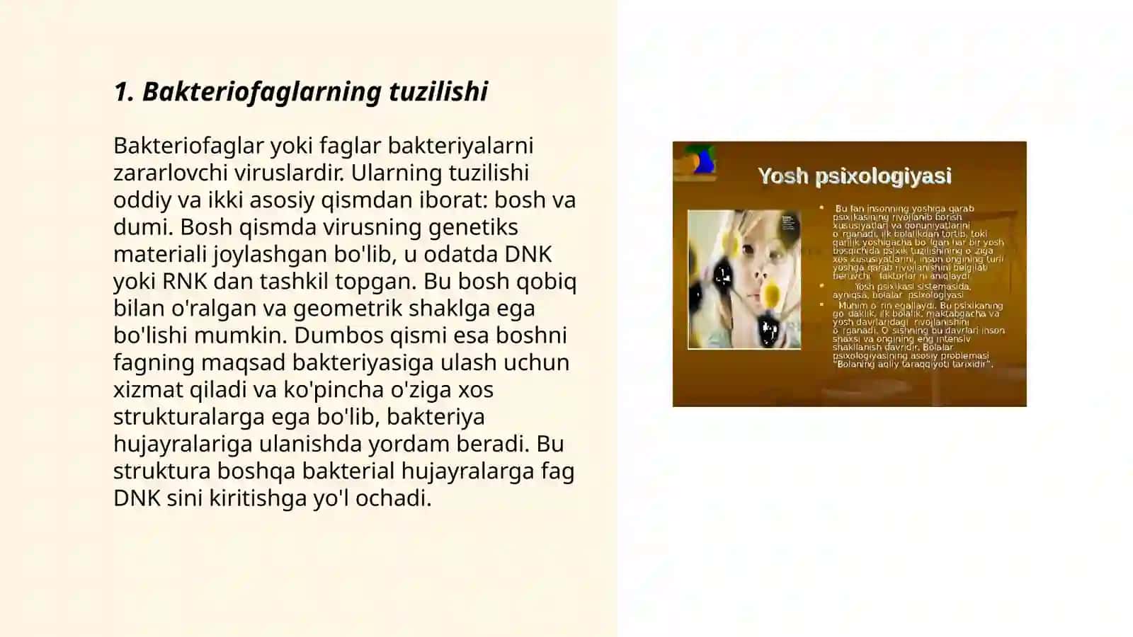 Bakteriofaglarning xususiyatlari 3
