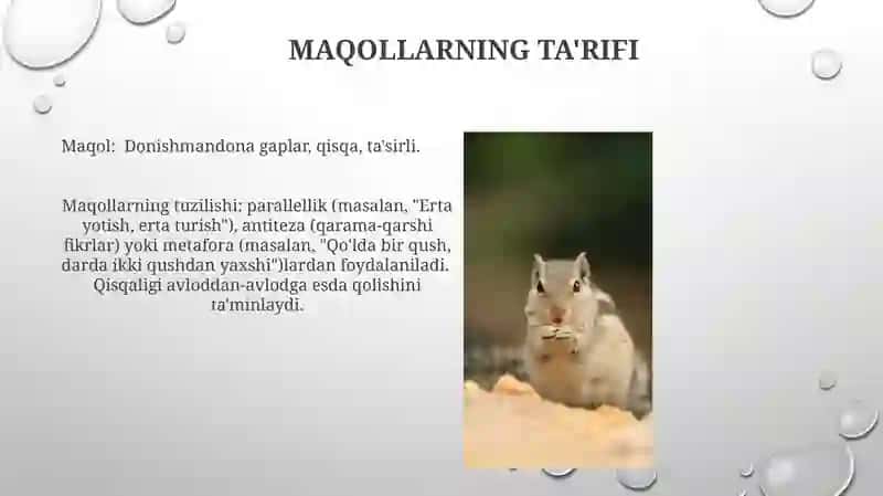 Maqollar haqida 3