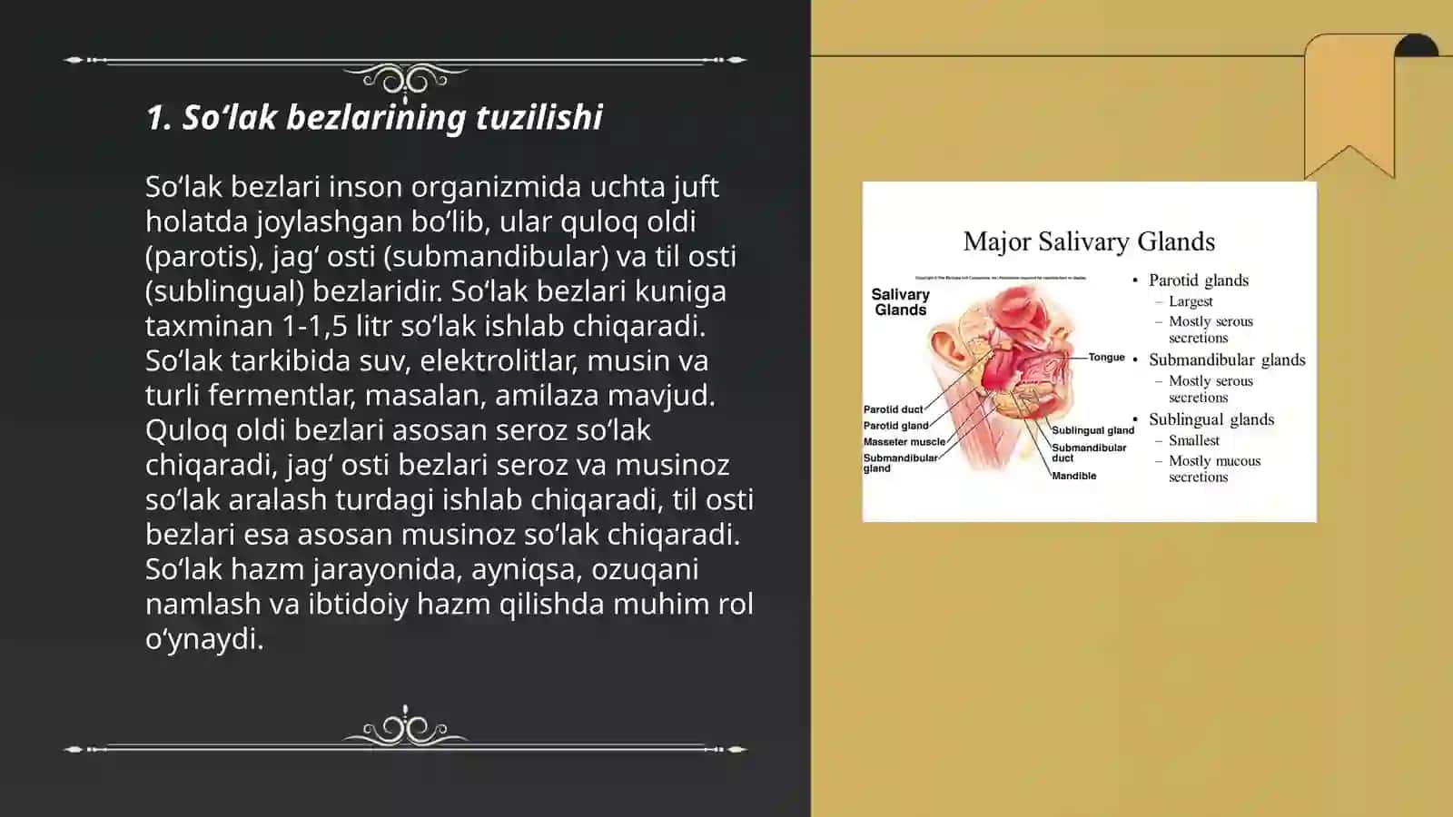 So‘lak bezlarining fiziologiyasi va so‘lak ajralishining regulyatsiyasi 3