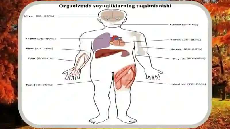 Elektrolitlar va noelektrolitlar 3