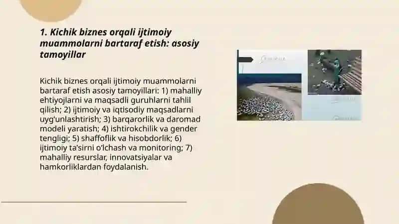 Ijtimoiy muammolarni hal etish uslubi sifatida kichik biznesni qollab quvatlash 3