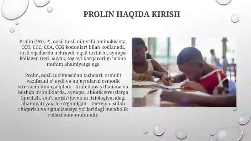 Prolin 3