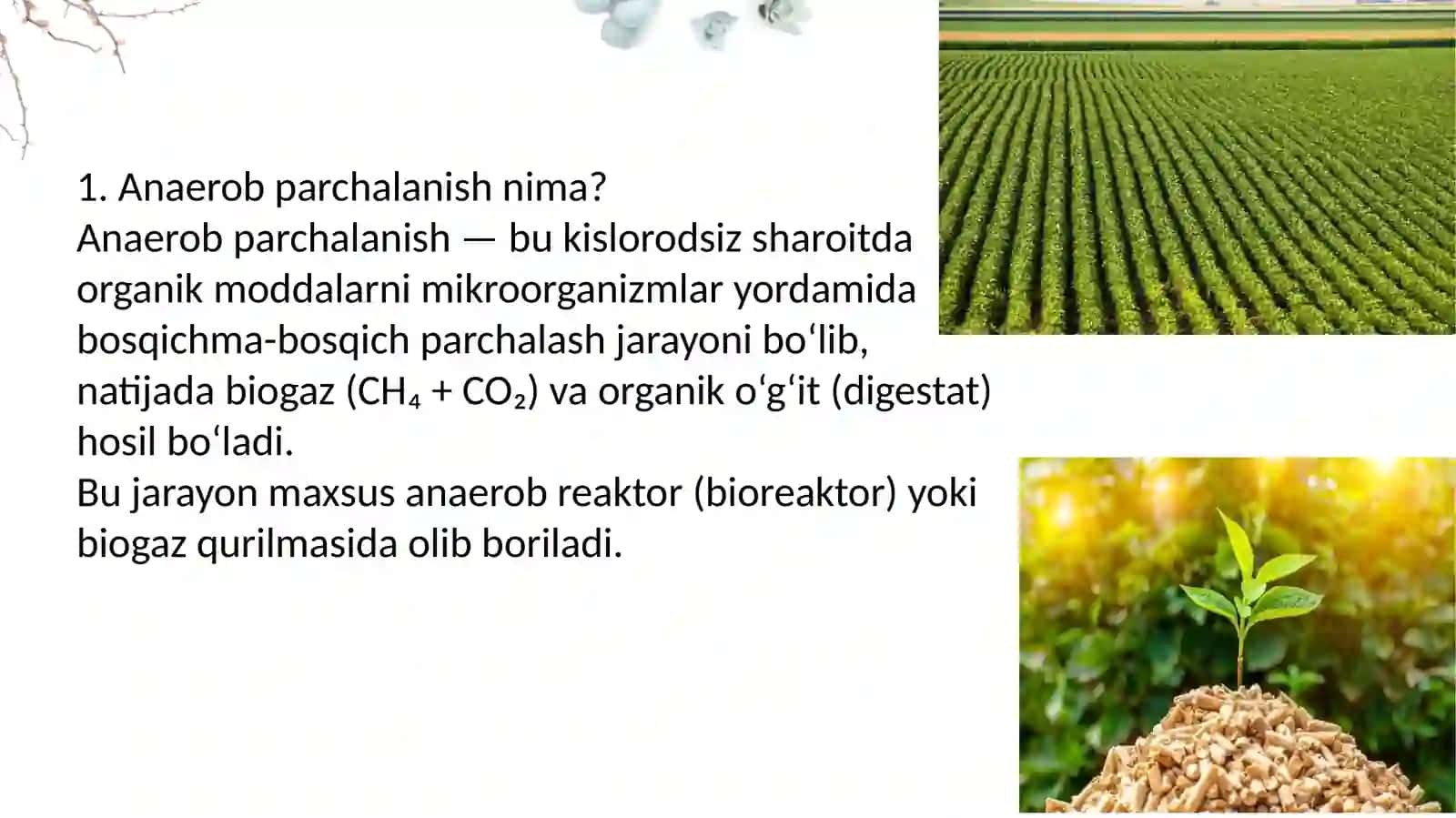 Biomassani anaerob parchalanish orqali energiyaga aylantirish jarayoni 3