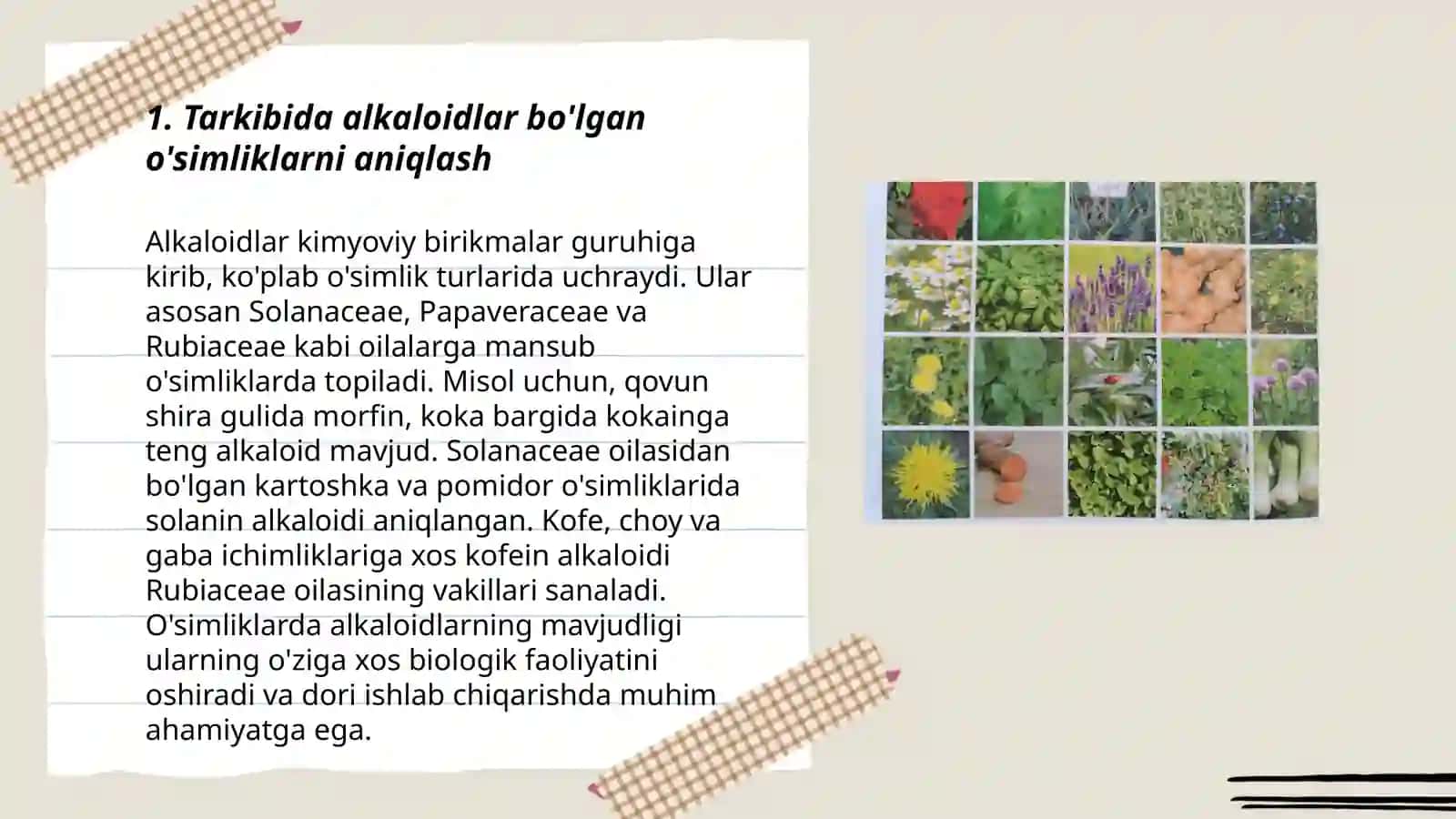 Tarkibida alkaloidlar bo'lgan dorivor o'simliklar gerbariylari va mahsulotlarini o'rganish 3