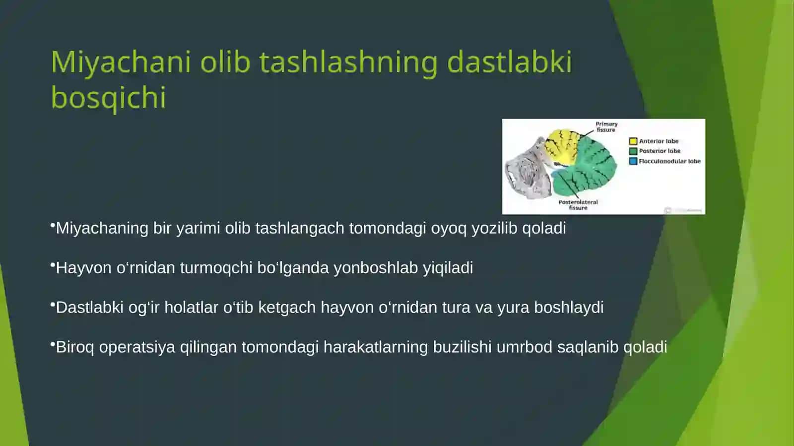 Miyachani olib tashlashning umumiy natijalari 3