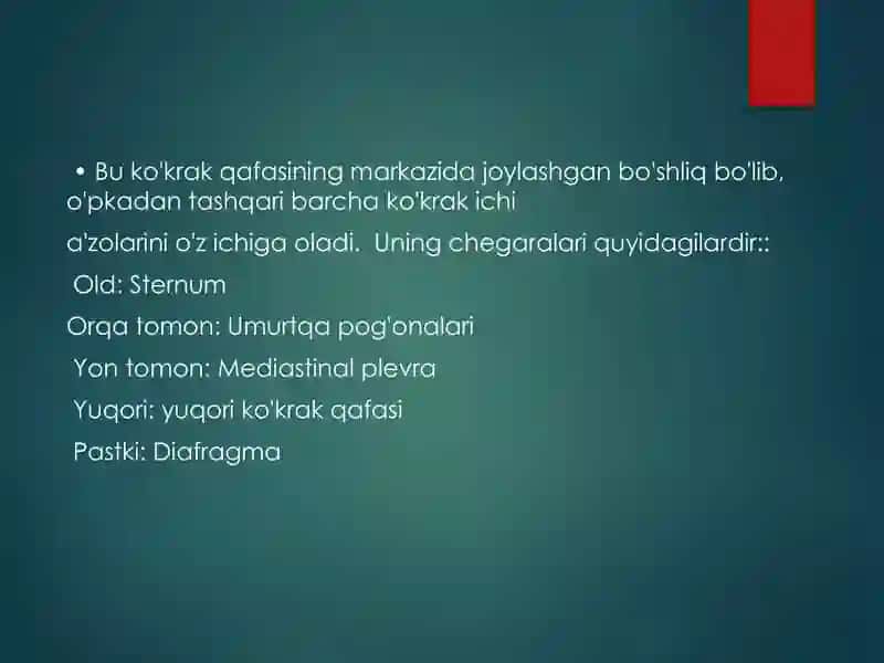 MEDIASTENIT 3