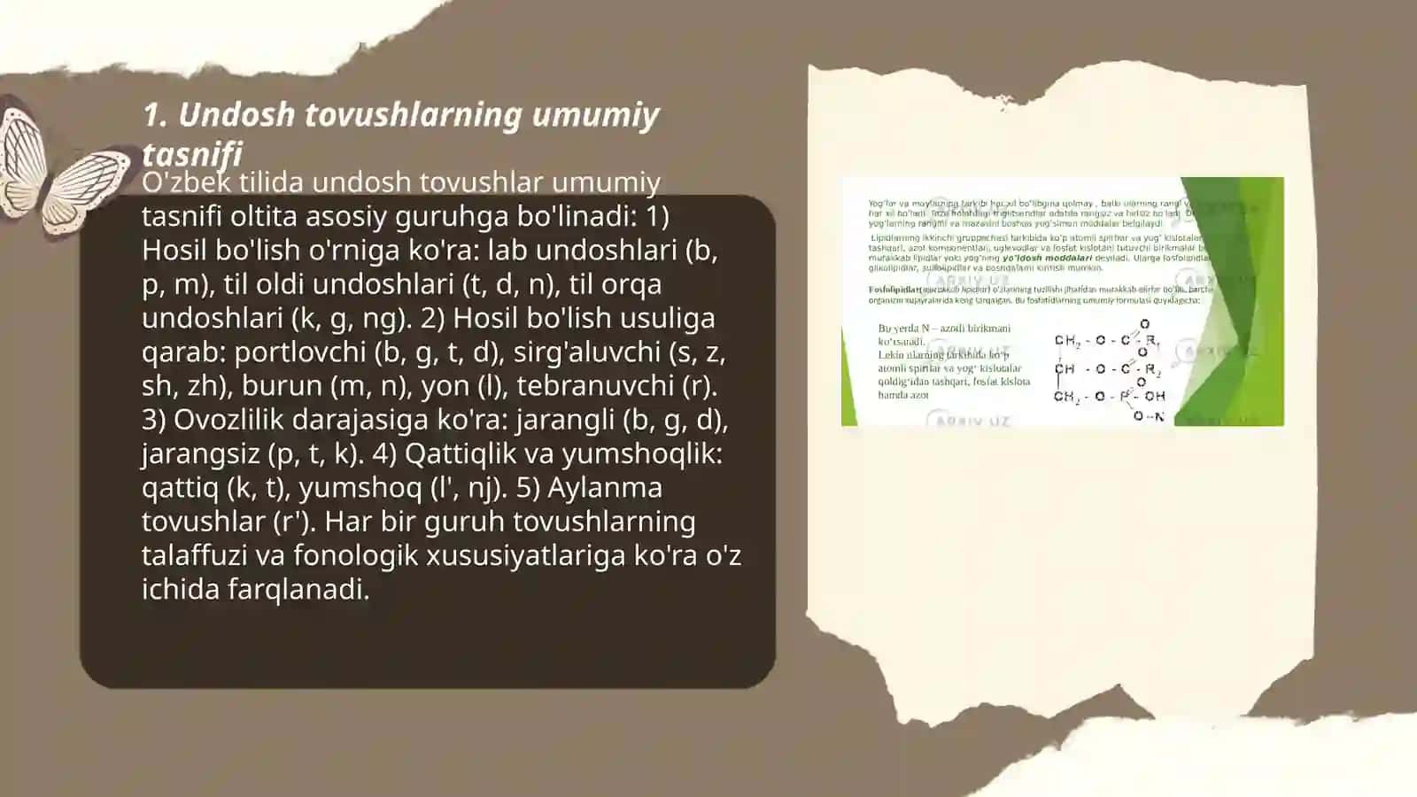 Undoshlar tasnifi va uning farqli jihatlari 3