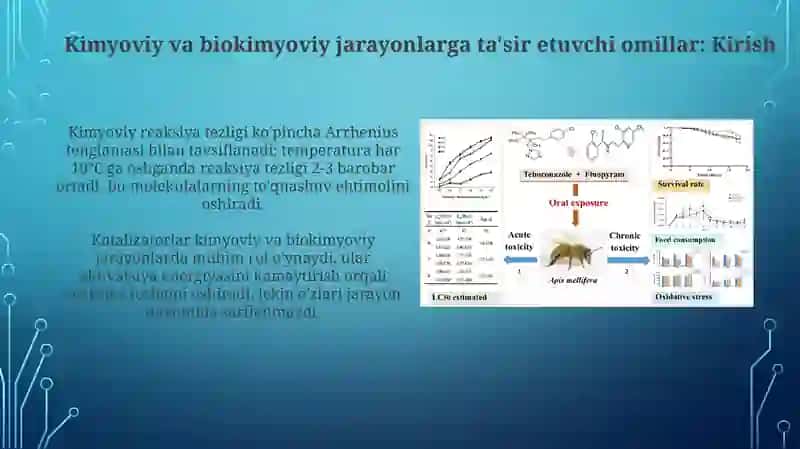 Kimyoviy va biokimyoviy jarayonlar tezligi hamda mexanizmiga ta’sir etuvchi faktorlar 3