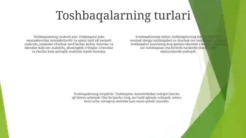 Toshbaqalar Va Ularning Tarqalishi 3