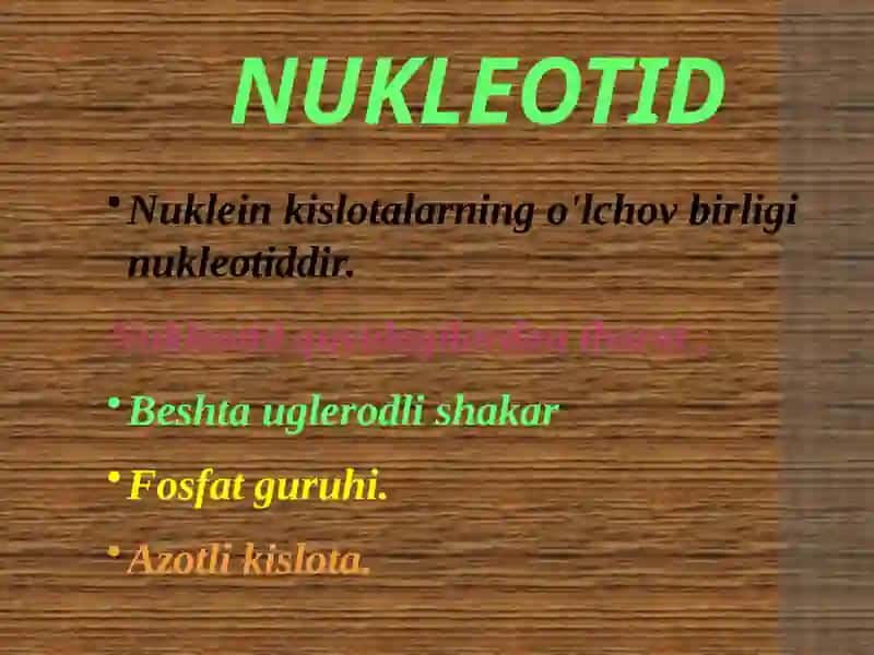 Nuklein kislotalar 3