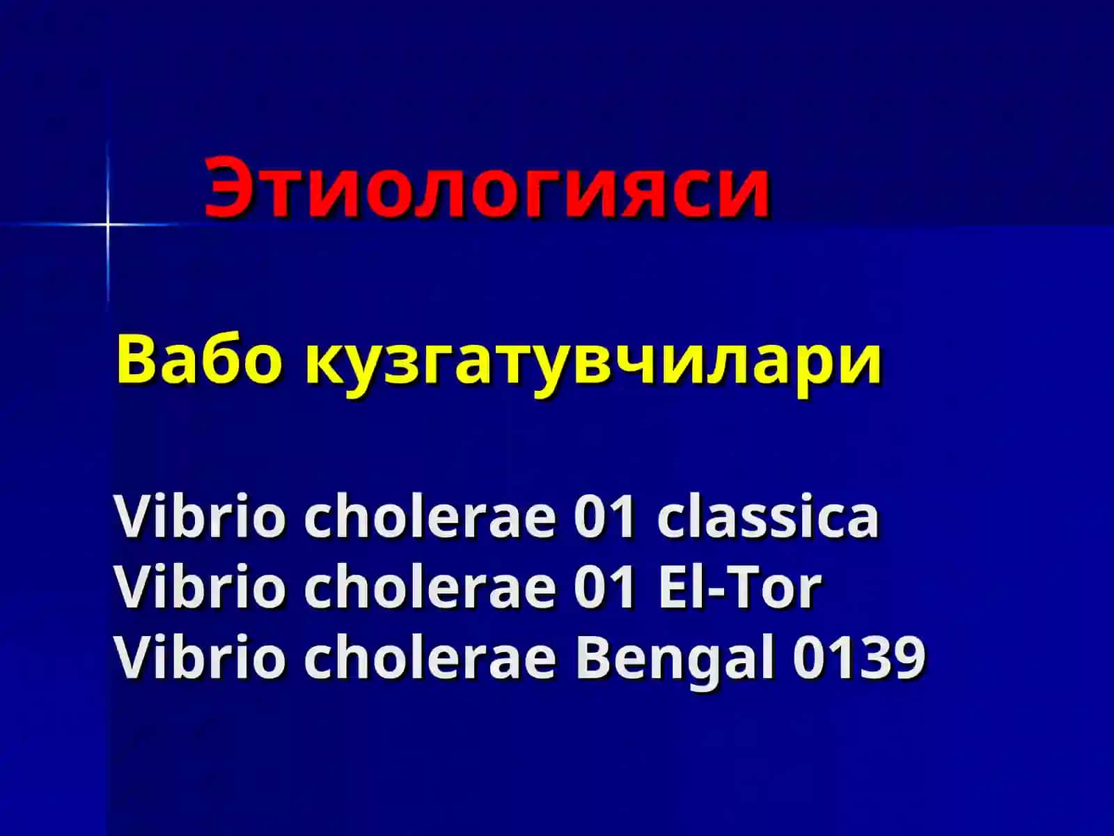 Вабо(cholera) 3