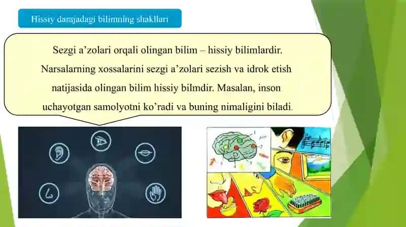 Bilish darajalari 3