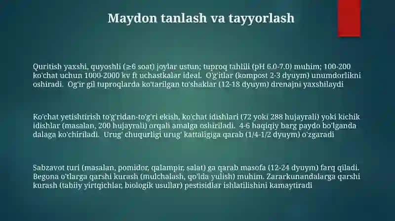 Ochiq yer uchun sabzavot ko'chatlarini yetishtirish uslubi va usullari 3