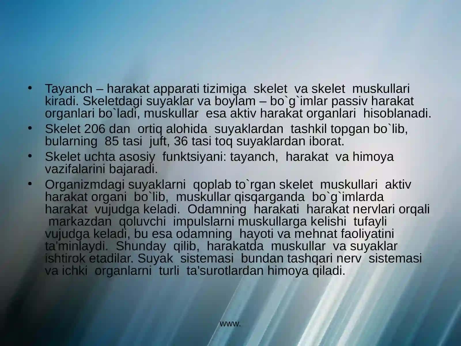Tayanch – harakat apparati 3