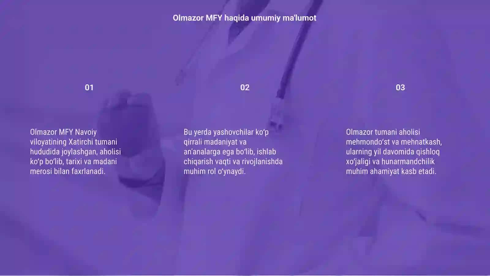 Olmazor MFY 3