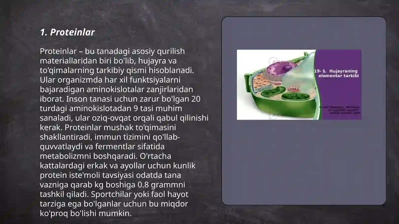 Proteinlar 3