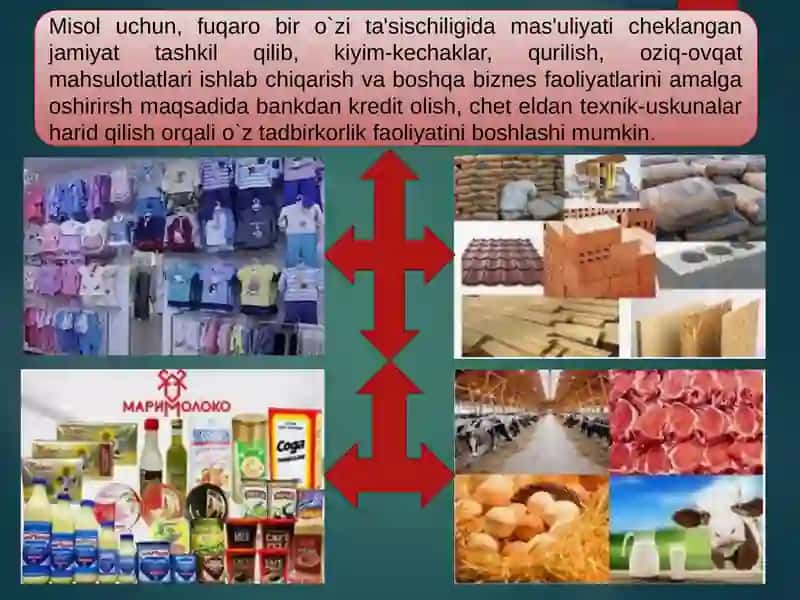 Tadbirkorlik Faoliyati. Biznes Huquqi Sub`ektlari 3