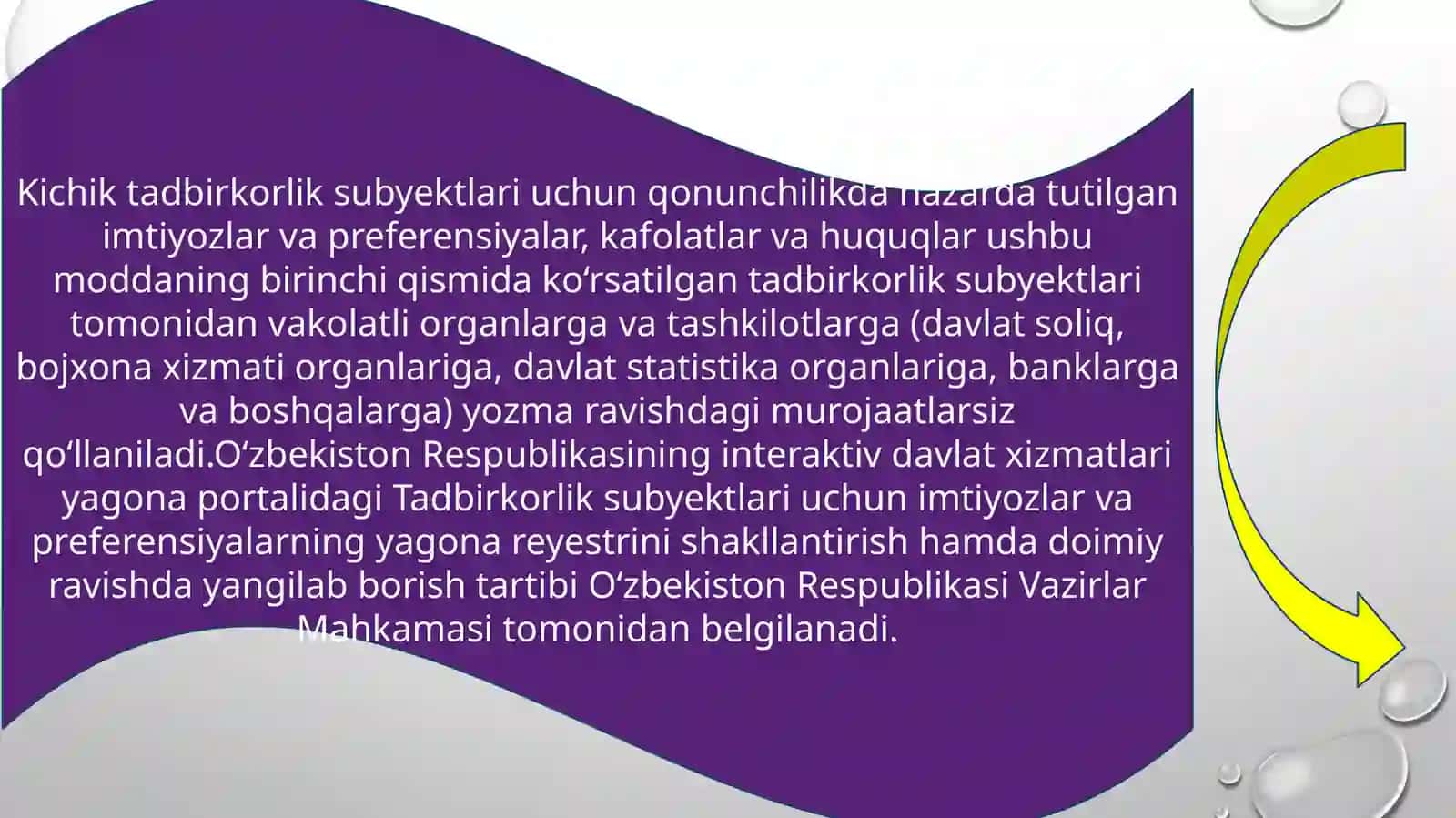 Davlat Tomonidan tadbirkorlik Faoliyatini amalga oshirish 3