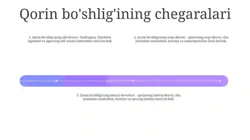 Qorin Parda BoʻShligʻIning Pastki Qavati A'Zolari Topografik Anatomiyasi 3